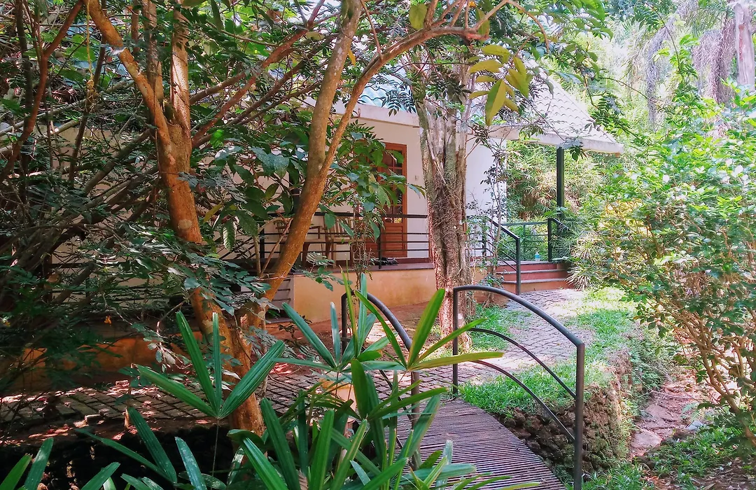 Vythiri Greens Holiday Resort-1